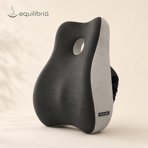 Equilibria Comfort™ – Sistema di Supporto Ergonomico